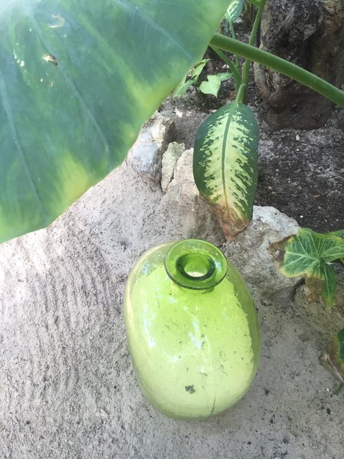 Agua Eco Design Hotel Tulum Exterior photo